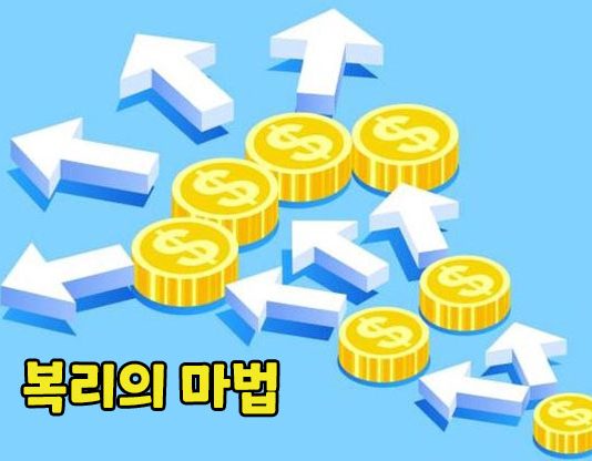 파로리 시스템 배팅