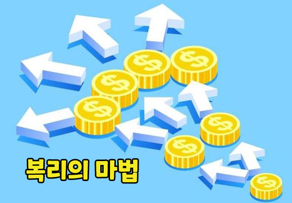 파로리 시스템 배팅