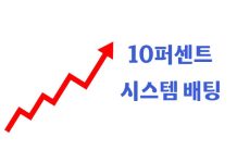 10퍼센트 시스템 배팅