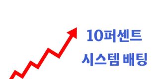 10퍼센트 시스템 배팅